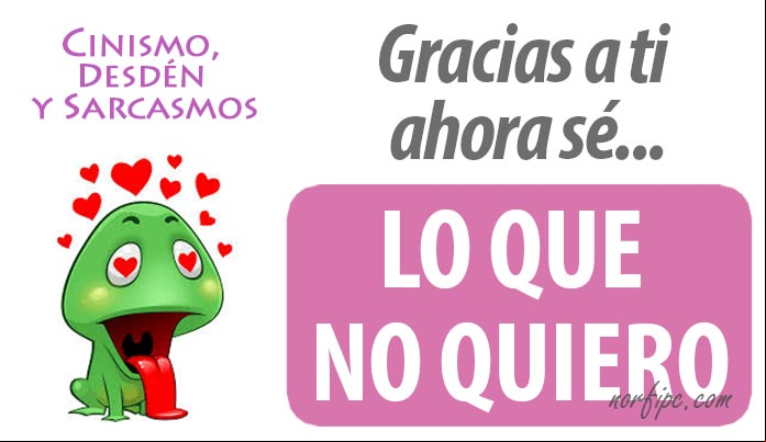 Gracias a ti ahora sé, lo que NO quiero… alguien como tú. #Sarcasmos Mensajes de cinismo, desdén y desprecio para quien me engañó