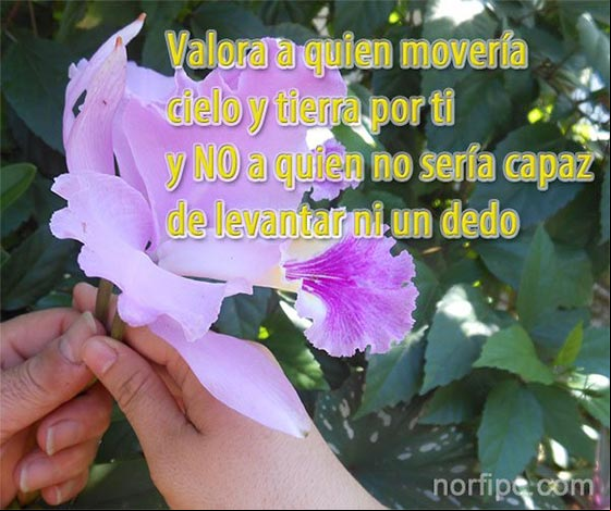 Valora a quien movería cielo y tierra por ti y no a quien no sería capaz de levantar ni un dedo Frases sobre el amor cuando no es correspondido