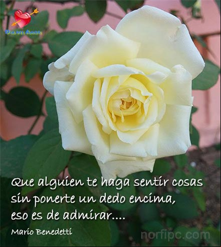 Que alguien te haga sentir cosas sin ponerte un dedo encima, eso es de irar Foto con un verso de Mario Benedetti para el día del amor