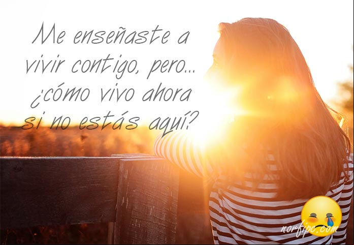 Frases tristes, de amores no correspondidos y desamor