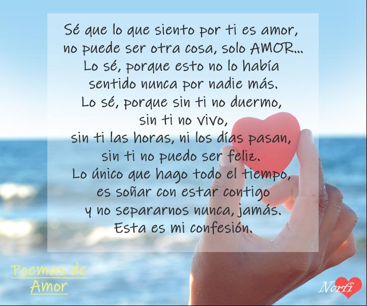 Sé que lo que siento por ti es amor, esta es mi confesión