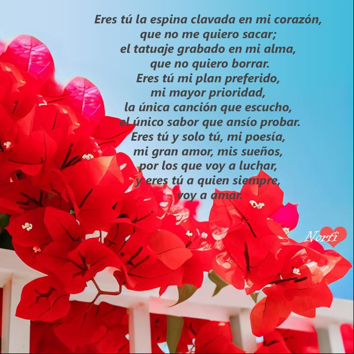 Flores de Bugambila roja sobre reja blanca, fondo cielo azul