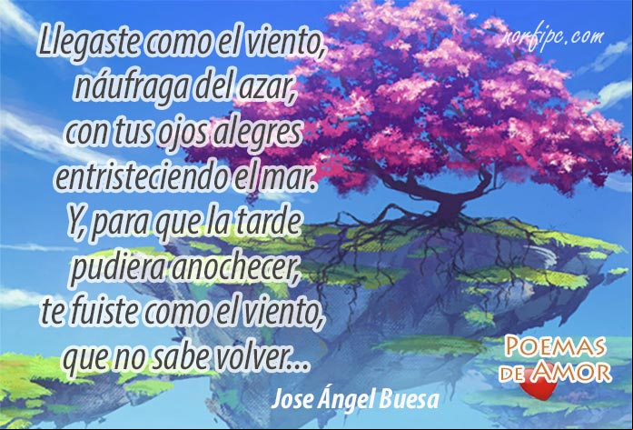 Llegaste como el viento, náufraga del azar, con tus ojos alegres entristeciendo el mar. Y para que la tarde pudiera anochecer, te fuiste como el viento, que no sabe volver... Del poema Símil del viento, de Jose Ángel Buesa Del poema Símil del viento, de Jose Ángel Buesa
