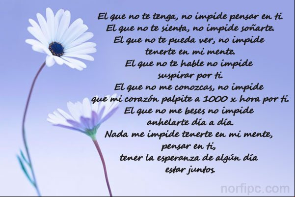 Poema de amor, El que no te tenga, no impide pensar en ti. Poema de amor, El que no te tenga, no impide pensar en ti.