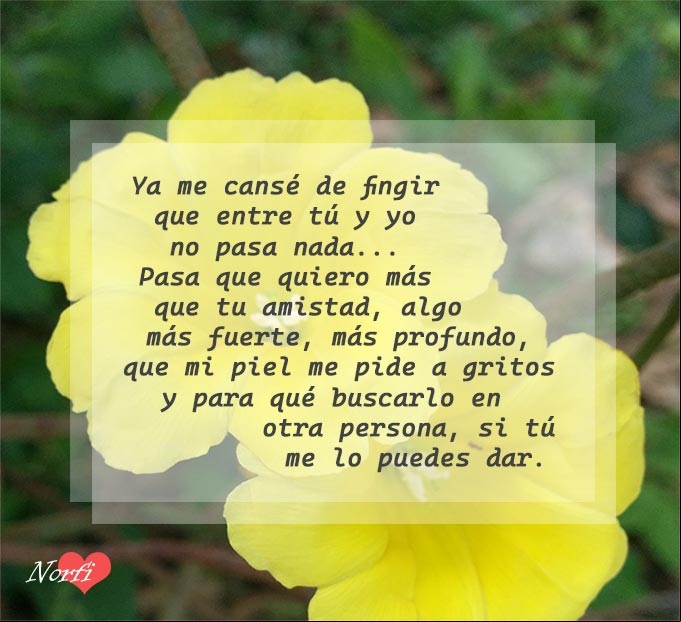 Quiero más que tu amistad, algo que mi piel me pide a gritos y para qué buscarlo en otra persona, si tú me lo puedes dar Quiero más que tu amistad, algo que mi piel me pide a gritos y tú me lo puedes dar
