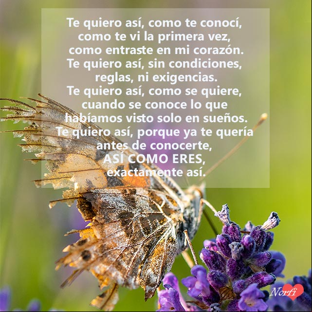 Te quiero exactamente así Te quiero exactamente así