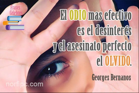 El odio más efectivo es el desinterés y el asesinato perfecto el olvido Imagen con frase célebre sobre el odio y el olvido