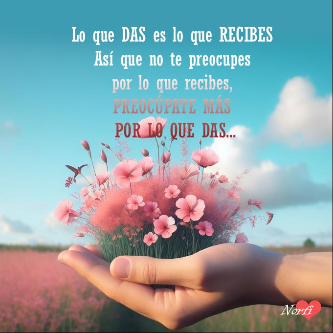 Lo que DAS es lo que RECIBES, así que no te preocupes por lo que recibes, preocúpate más por lo que DAS Mano de una persona entregando flores