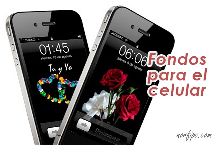 Imágenes y fondos de pantalla de amor para usar en teléfonos celulares y móviles Imágenes y fondos de pantalla de amor para usar en teléfonos celulares y móviles