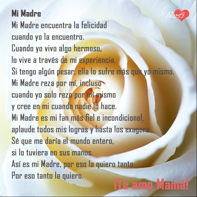 Postal con un poema para mi madre Centro de una rosa blanca con poema para mi madre