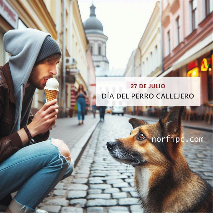Perro callejero