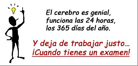 El cerebro es genial, funciona las 24 horas, los 365 días del año. Y deja de trabajar justo... ¡Cuando tienes un examen! El cerebro es genial, funciona las 24 horas, los 365 días del año. Y deja de trabajar justo... ¡Cuando tienes un examen!