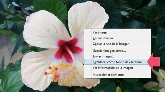 Imágenes para fondo de escritorio o pantalla para el teléfono celular o tableta Imágenes para fondo de escritorio o pantalla para el teléfono celular o tableta