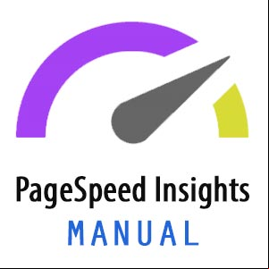 Manual para usar la herramienta PageSpeed Insights de Google